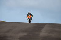 PJ-Motorsport-2019;anglesey-no-limits-trackday;anglesey-photographs;anglesey-trackday-photographs;enduro-digital-images;event-digital-images;eventdigitalimages;no-limits-trackdays;peter-wileman-photography;racing-digital-images;trac-mon;trackday-digital-images;trackday-photos;ty-croes
